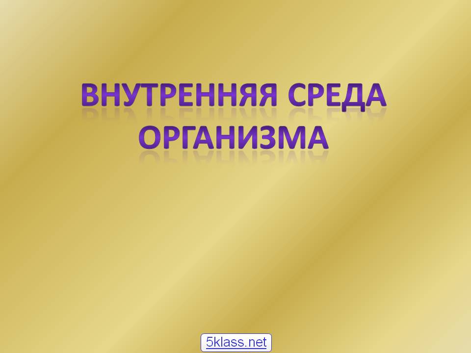 Внутренняя среда организма