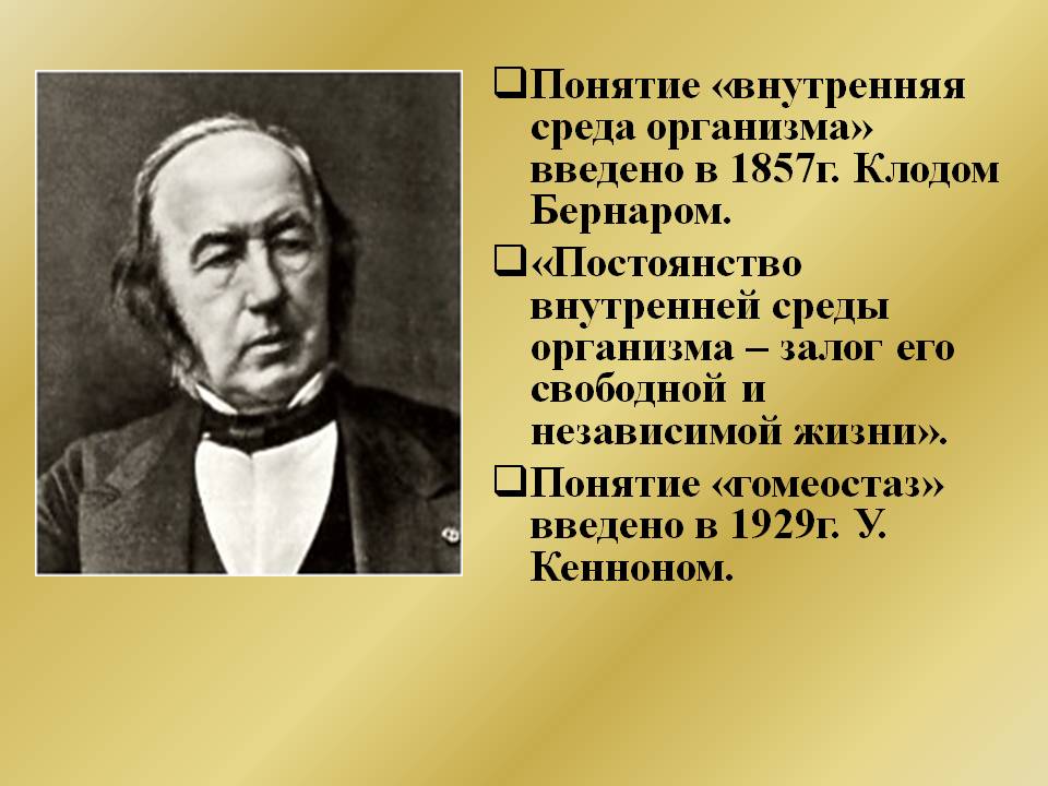 Понятие «внутренняя среда организма»