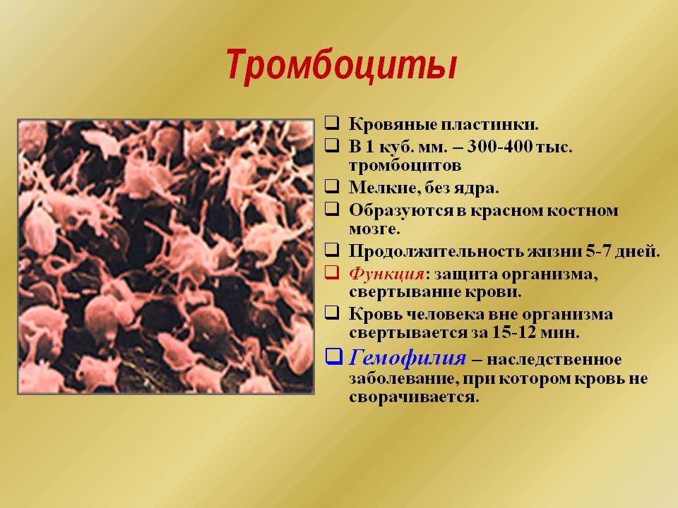 Тромбоциты