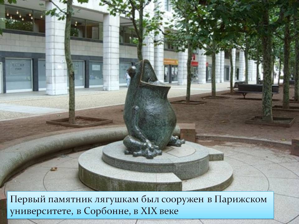 Памятник лягушкам