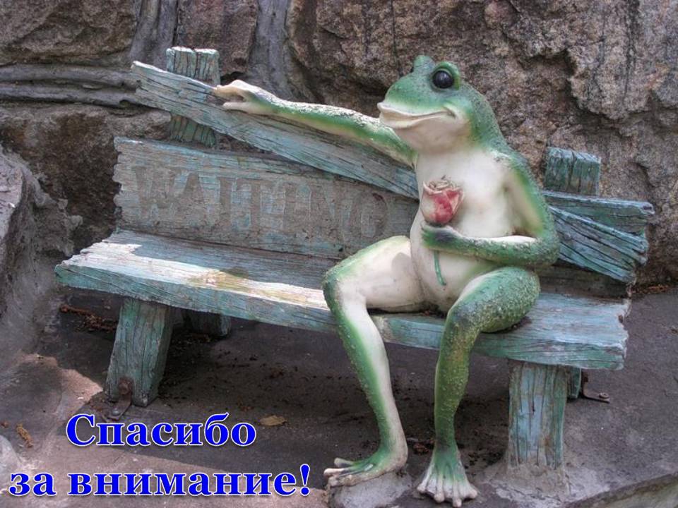 Представители класса Земноводные