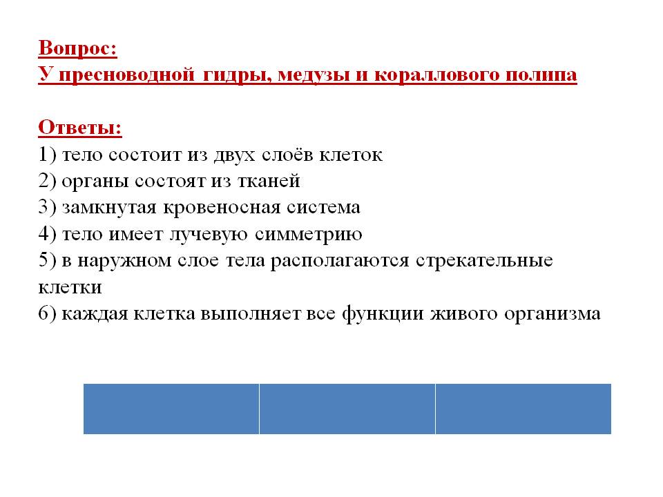 Замкнутая кровеносная система