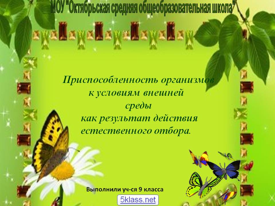 Приспособленность организмов к условиям внешней среды