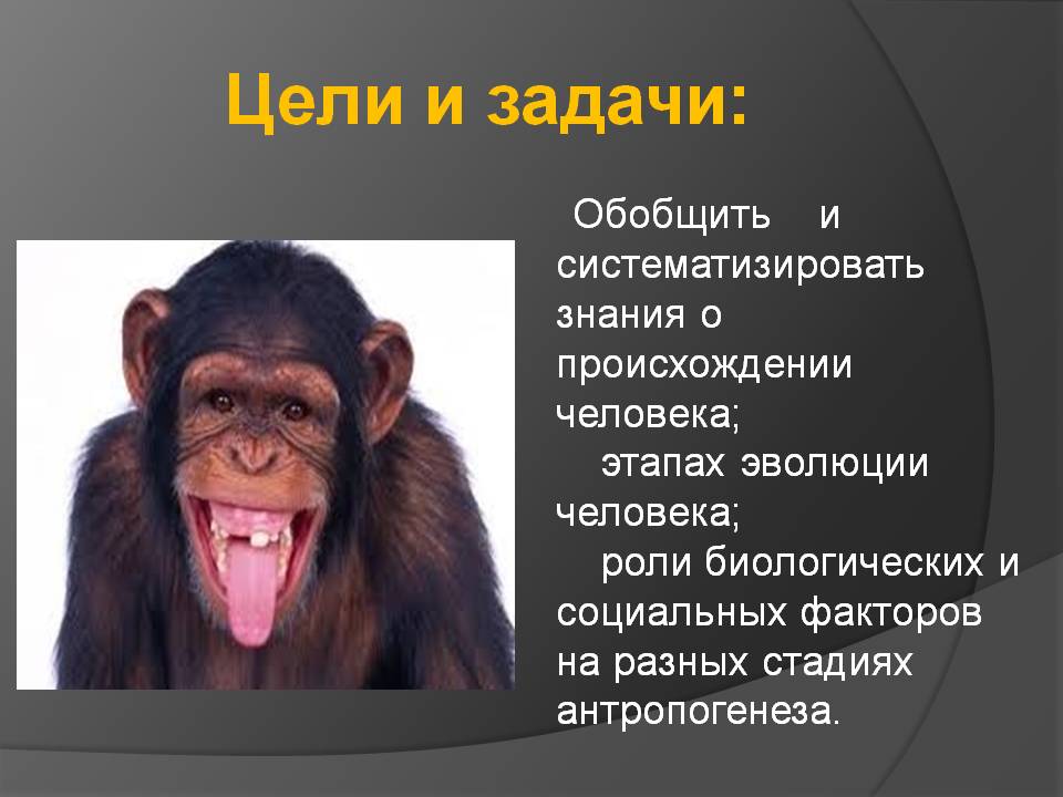Цели и задачи