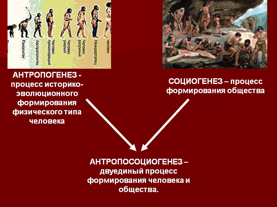 Антропогенез
