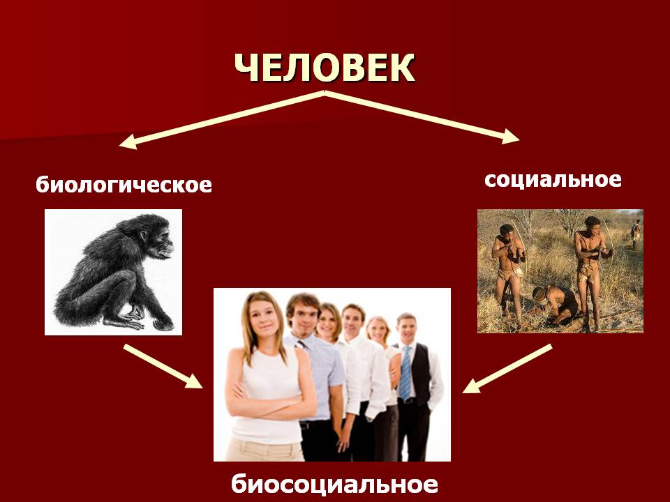 Человек
