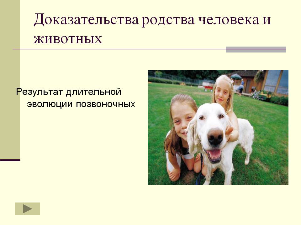 Доказательства родства человека и животных