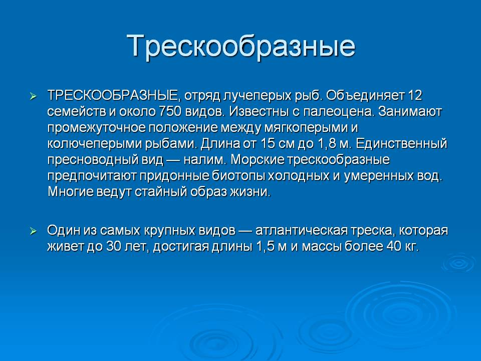 Трескообразные