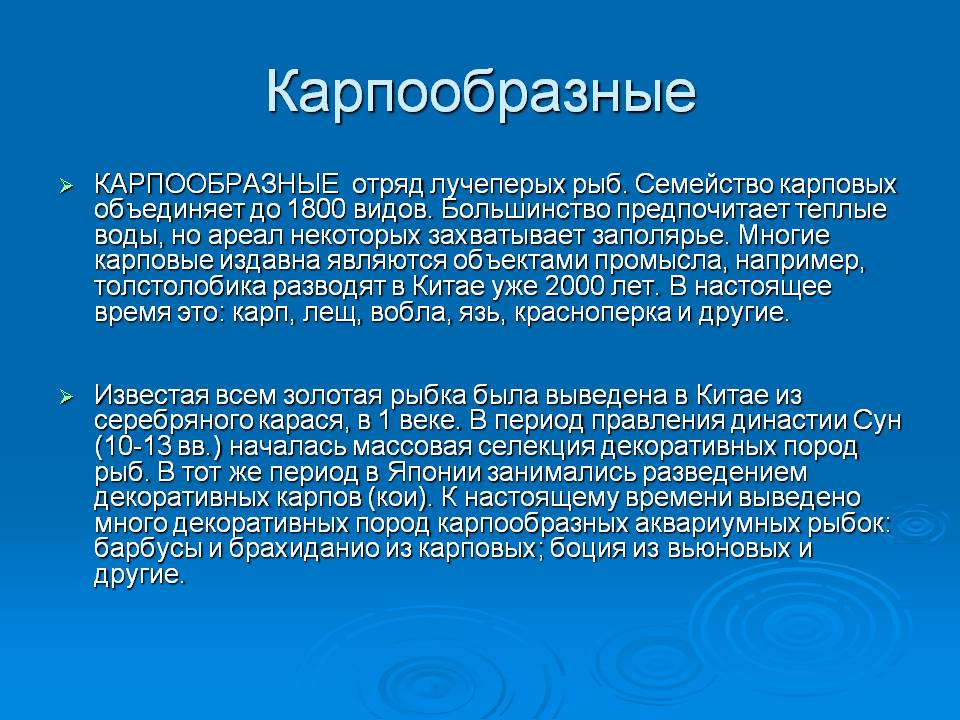 Карпообразные
