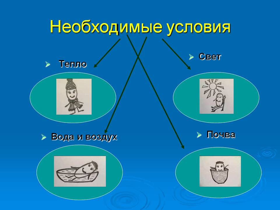 Необходимые условия