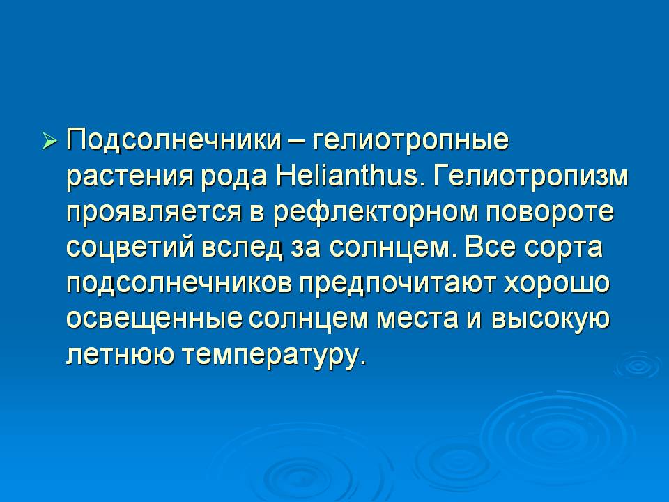 Подсолнечники – гелиотропные растения рода Helianthus