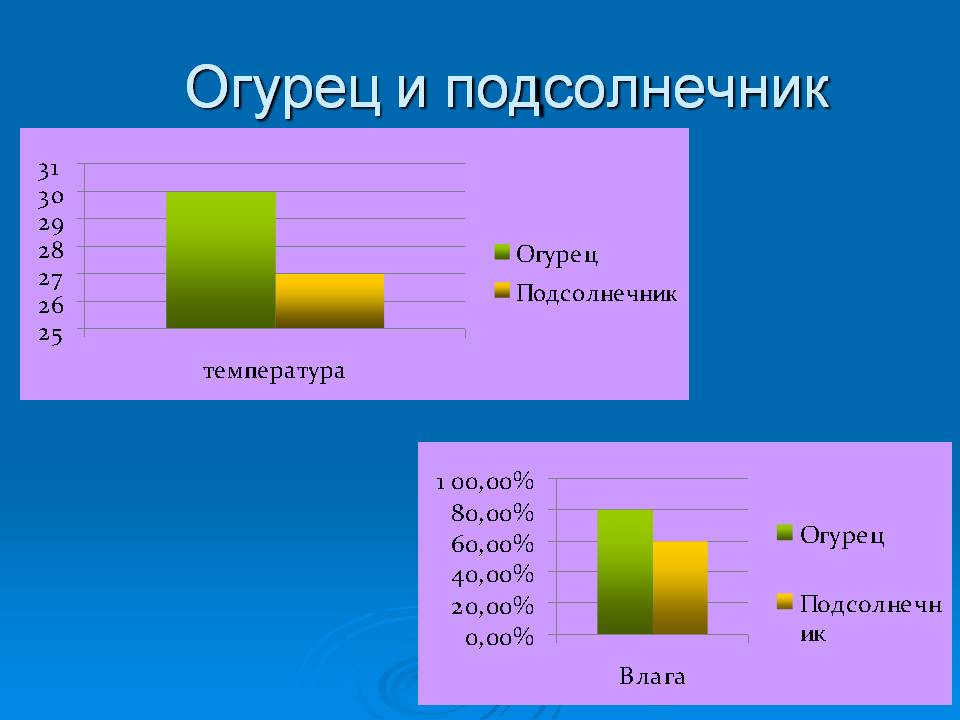 Огурец и подсолнечник