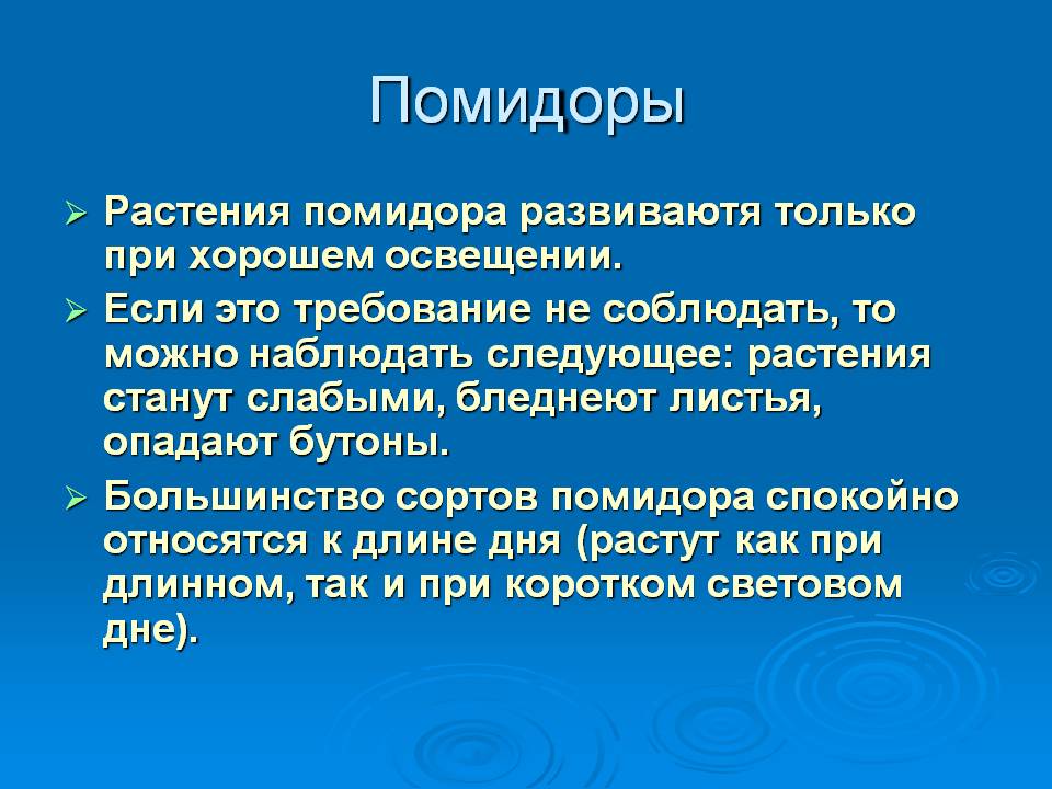 Помидоры