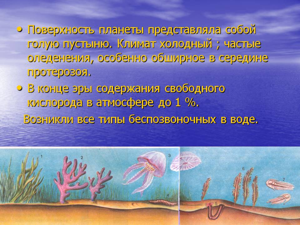 Поверхность планеты представляла собой голую пустыню