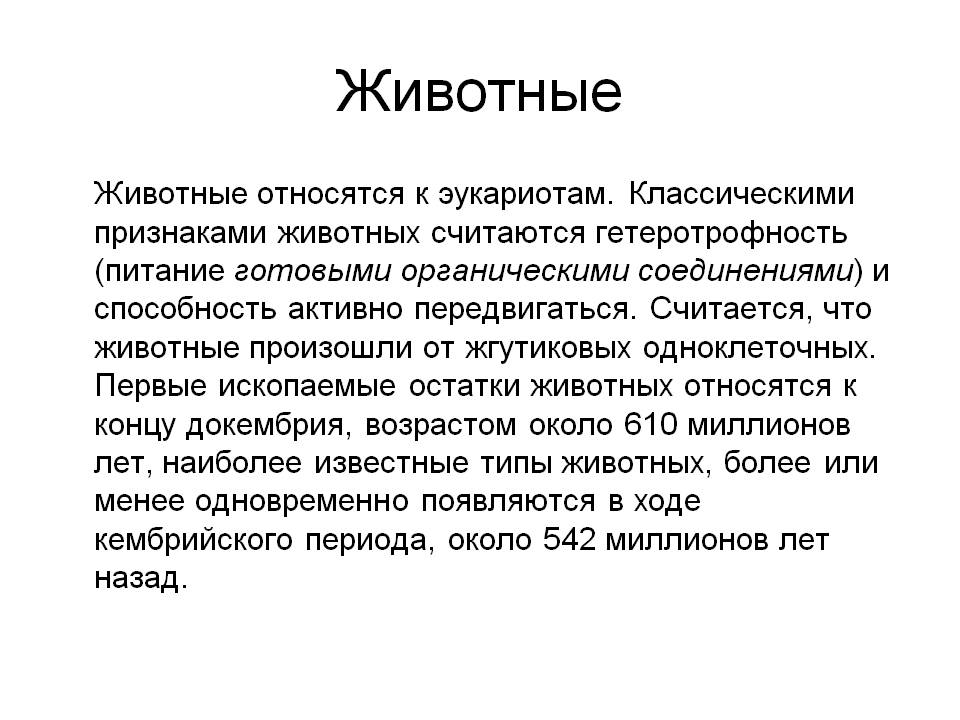Животные
