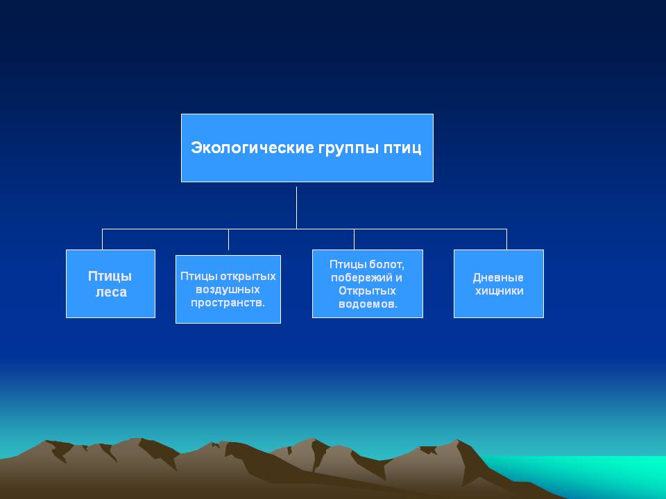 Экологические группы птиц
