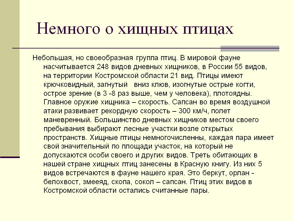Немного о хищных птицах