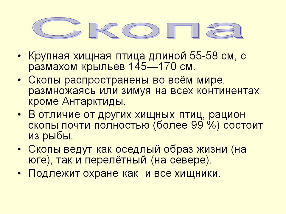 Крупная хищная птица