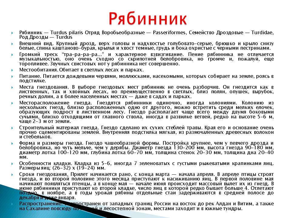 Рябинник