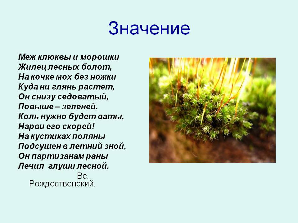 Значение