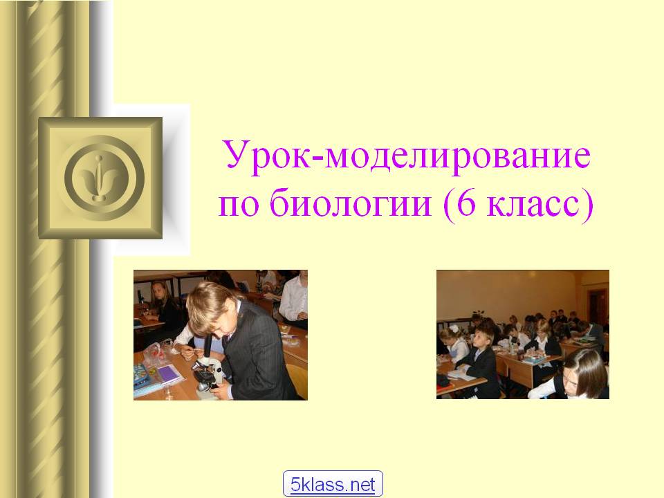 Урок-моделирование по биологии (6 класс)