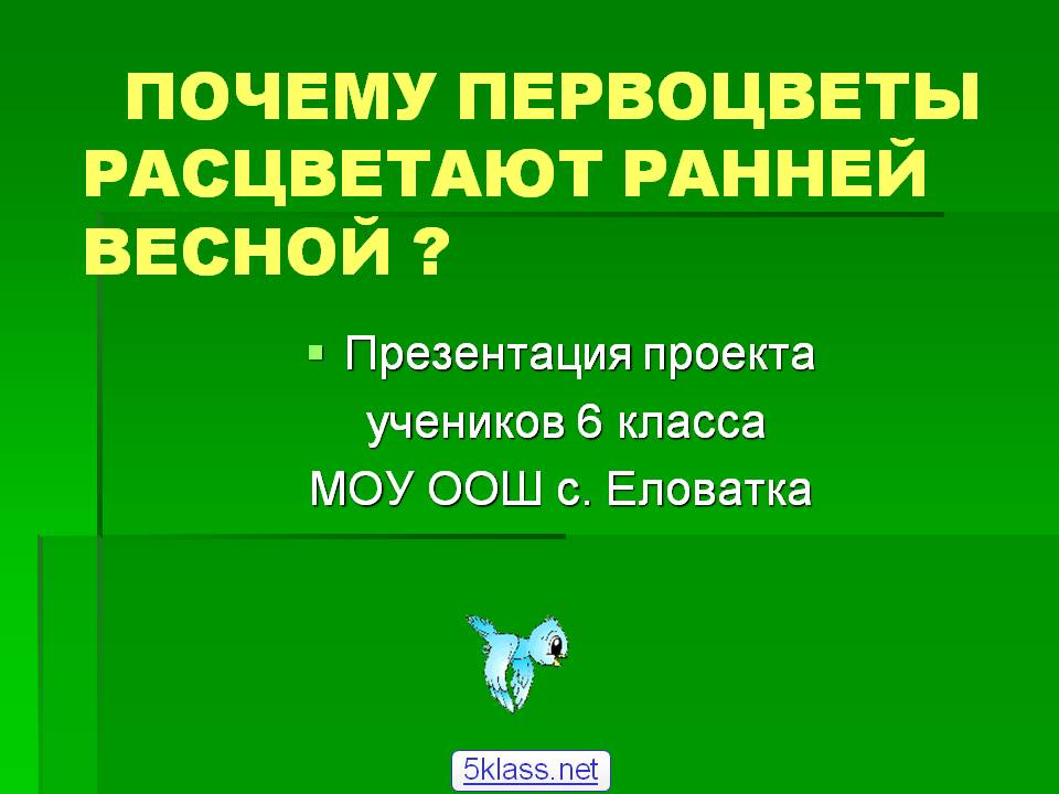 Почему первоцветы расцветают ранней весной 