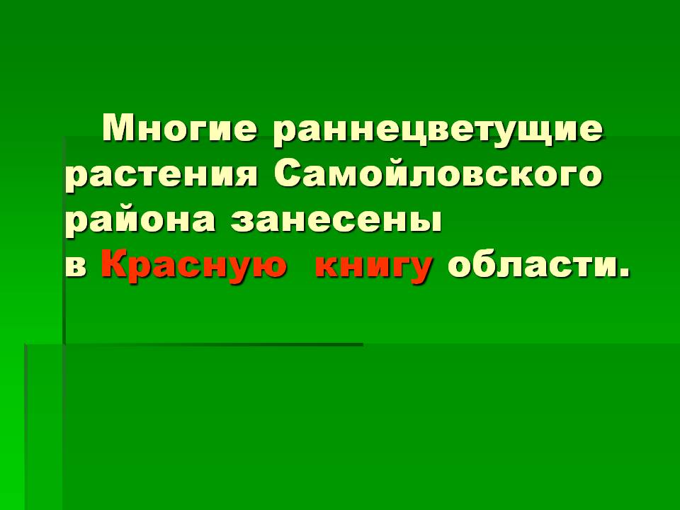 Многие раннецветущие растения Самойловского района занесены в Красную