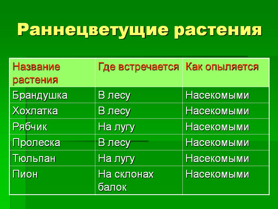 Раннецветущие растения