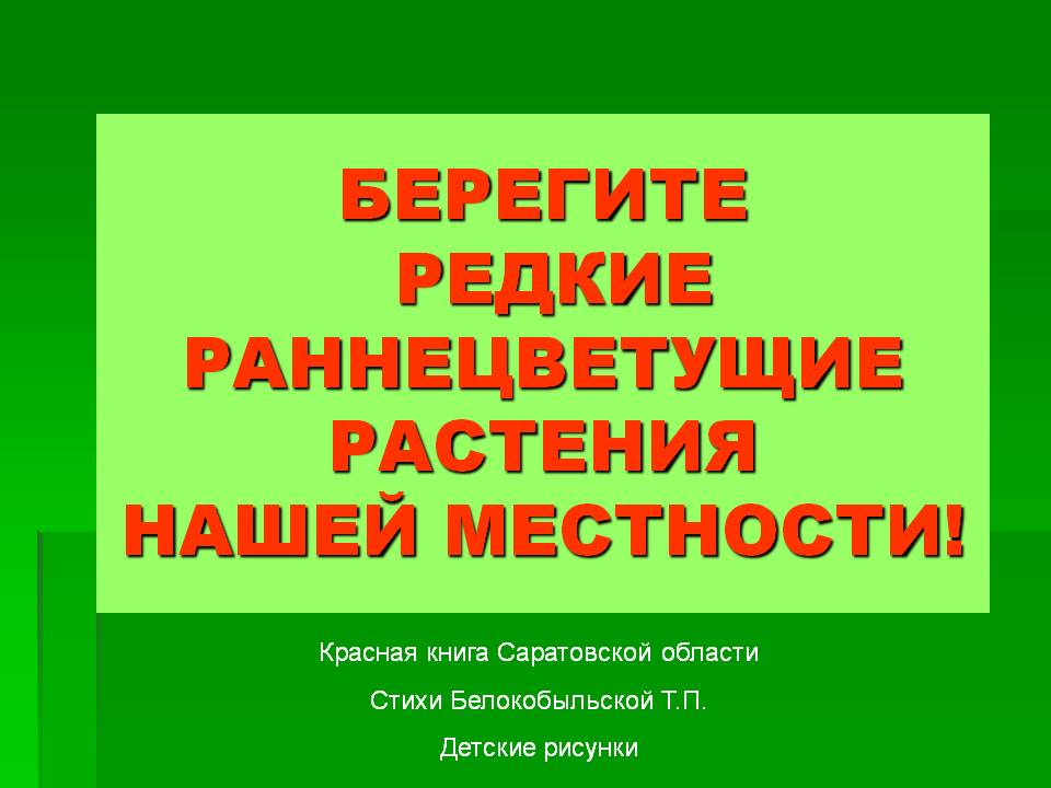 Берегите редкие раннецветущие растения нашей местности