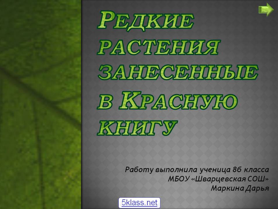 Редкие растения занесенные в Красную книгу
