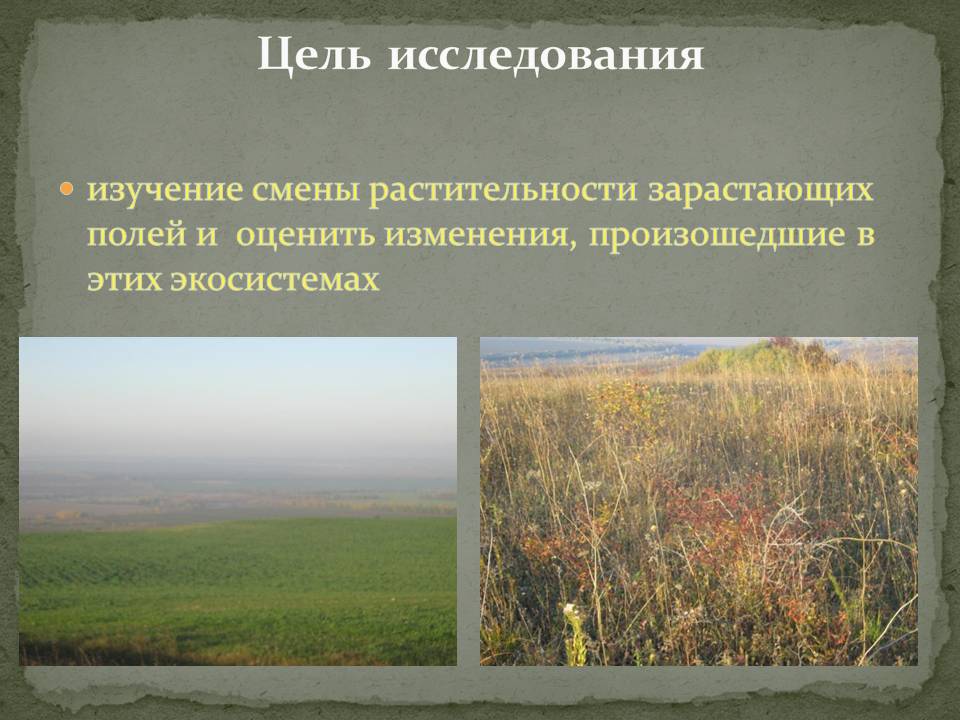 Цель исследования