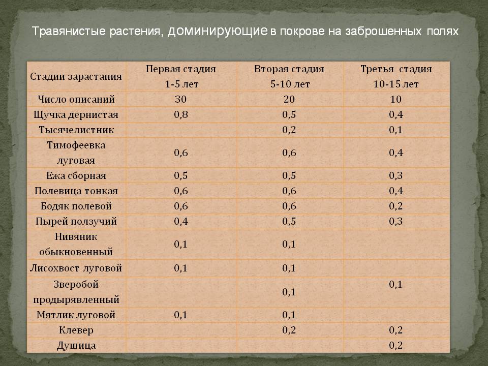 Травянистые растения, доминирующие в покрове на заброшенных полях
