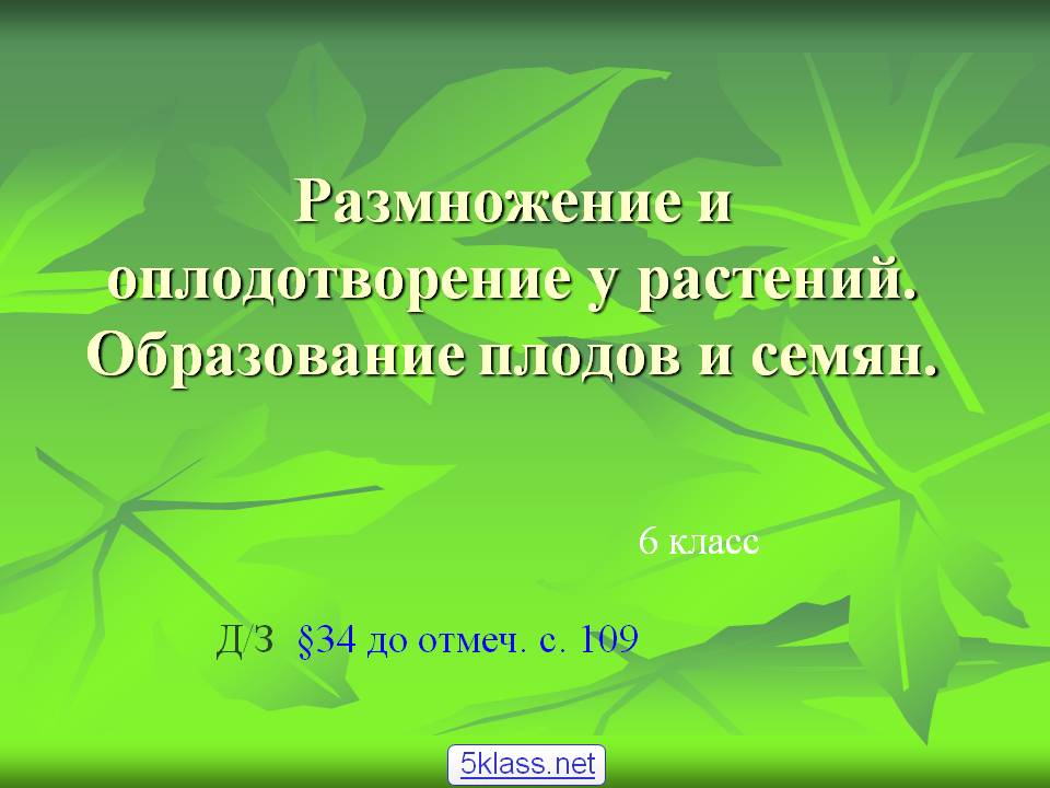 Размножение и оплодотворение у растений
