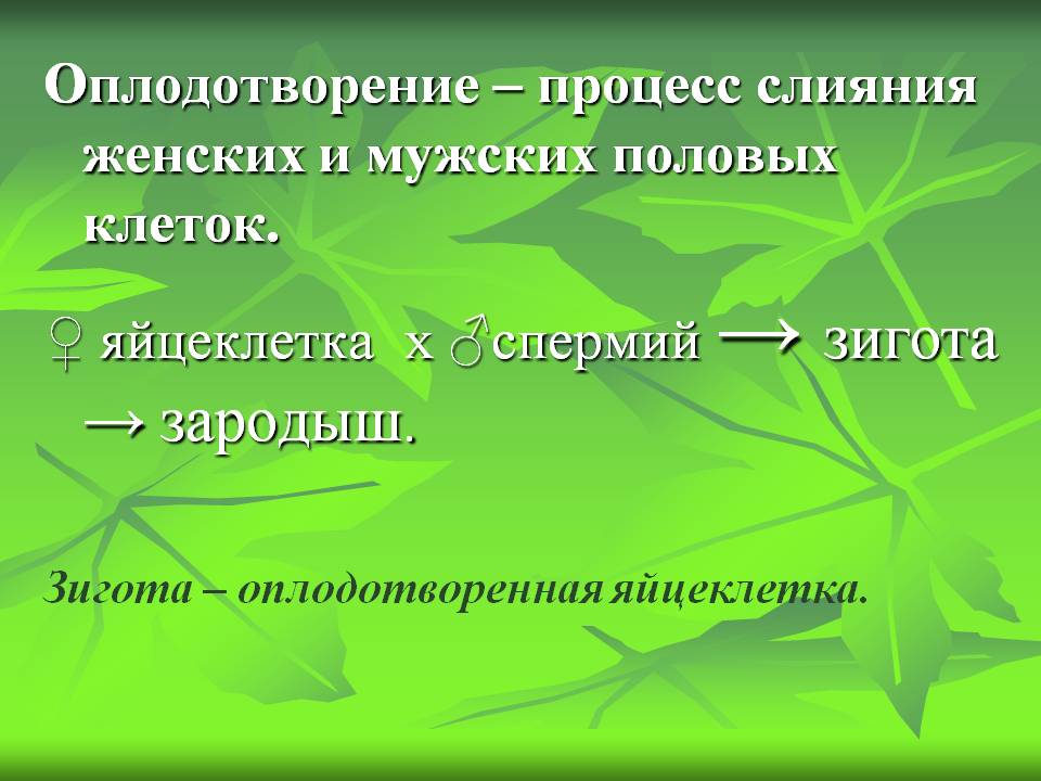 Оплодотворение – процесс слияния женских и мужских половых клеток