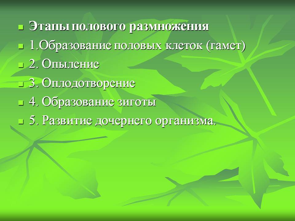 Этапы полового размножения