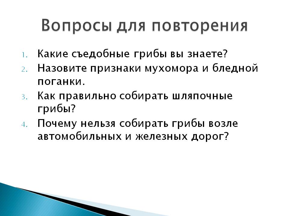 Вопросы для повторения