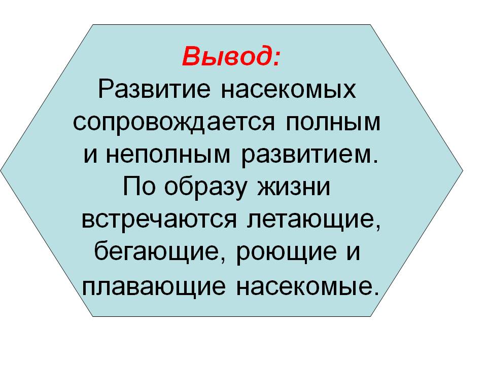 Вывод: Развитие насекомых сопровождается полным и неполным развитием