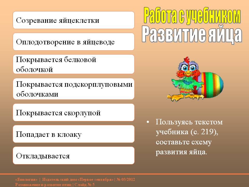 Работа с учебником