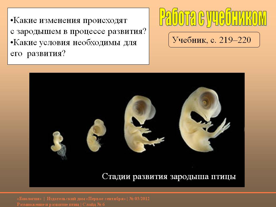 Работа с учебником