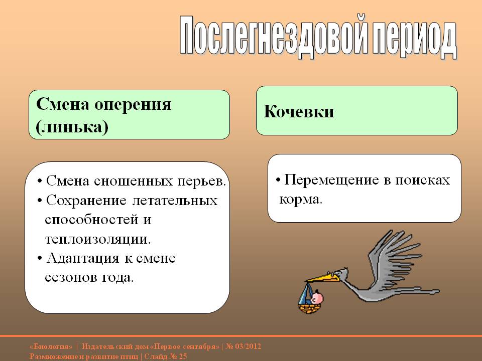 Послегнездовой период