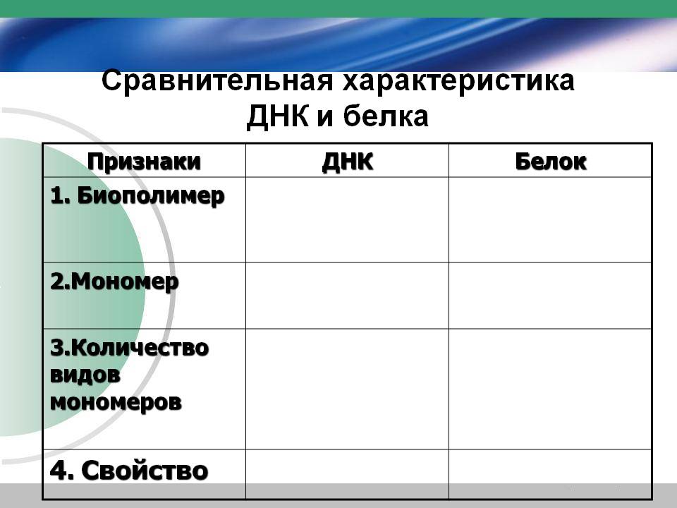 Сравнительная характеристика ДНК и белка