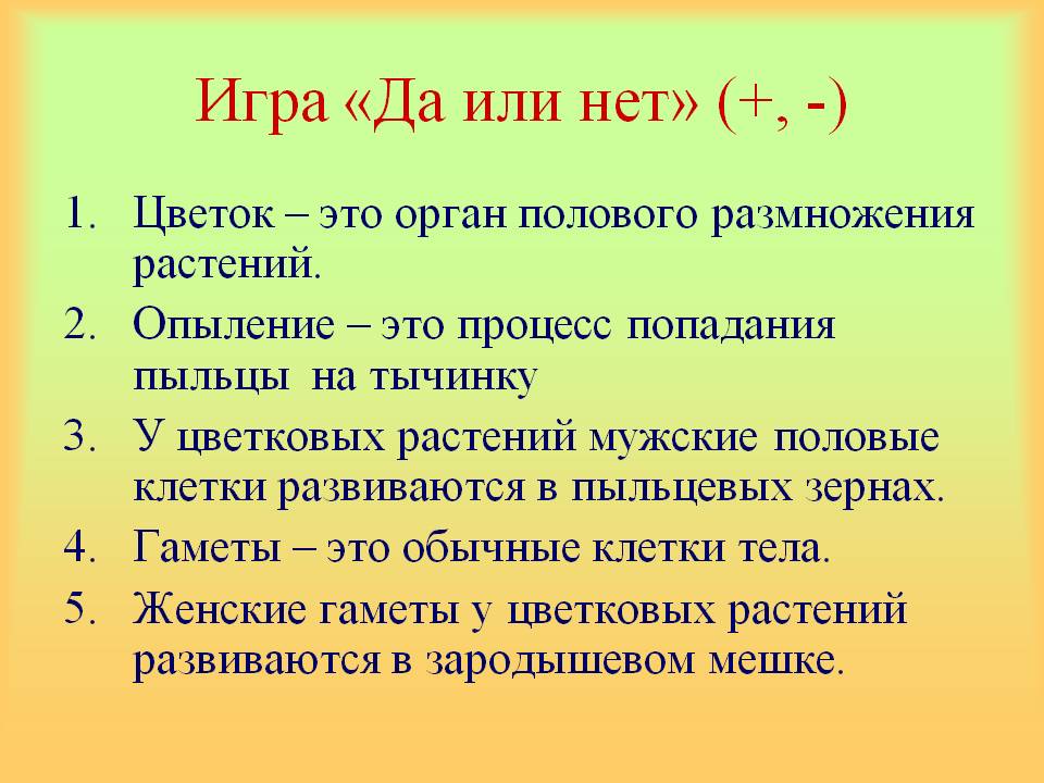 Игра «Да или нет» (+, -)
