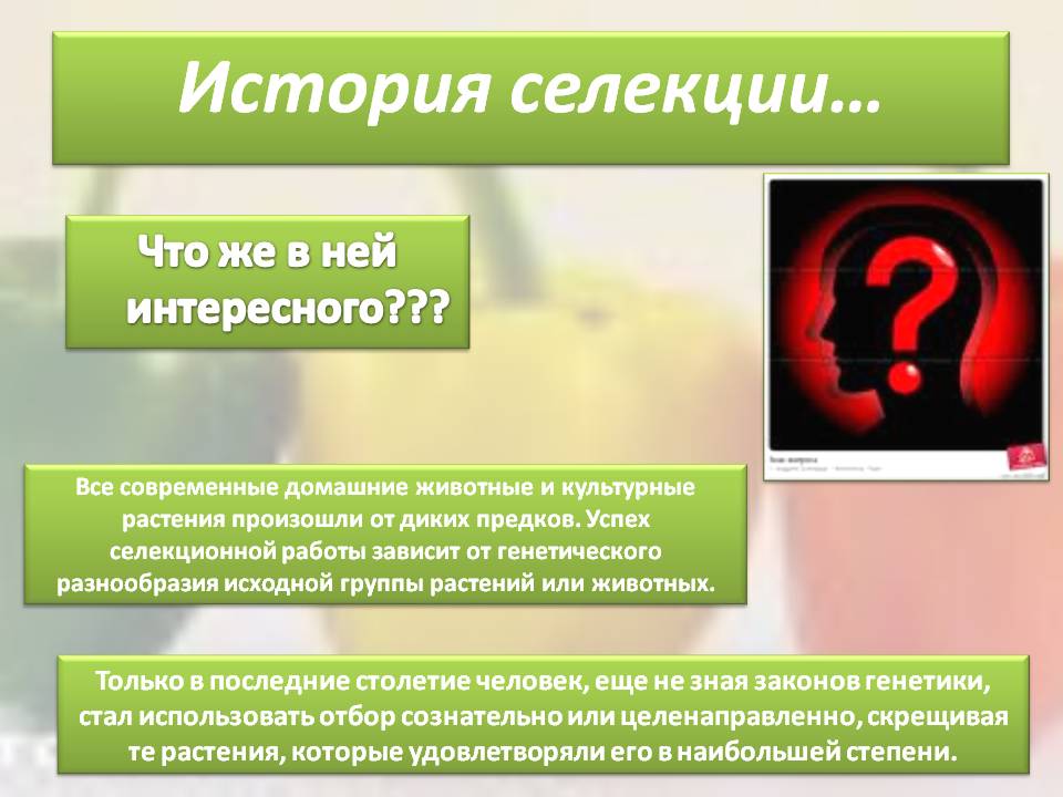 История селекции…
