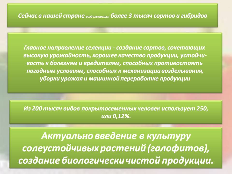 Актуально введение в культуру солеустойчивых растений (галофитов),