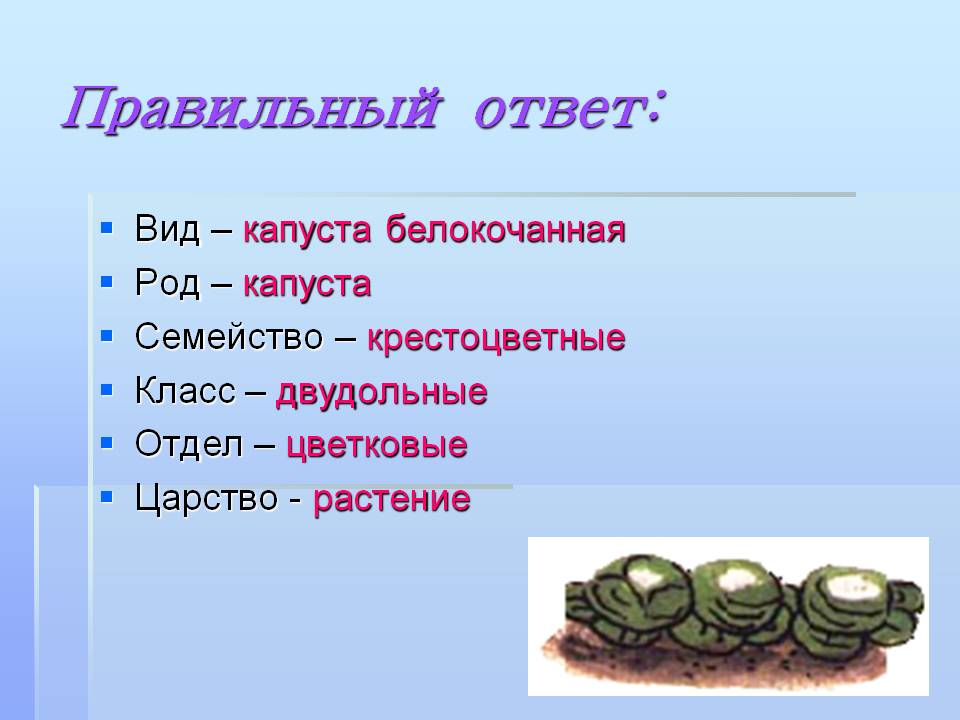 Правильный ответ: