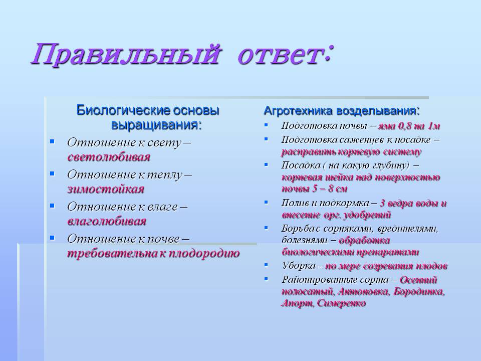 Правильный ответ: