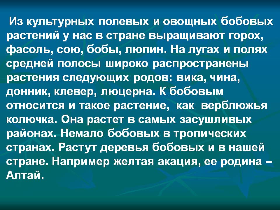Из культурных полевых и овощных бобовых растений у нас в стране