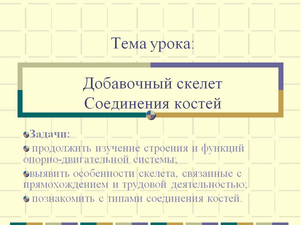 Соединения костей
