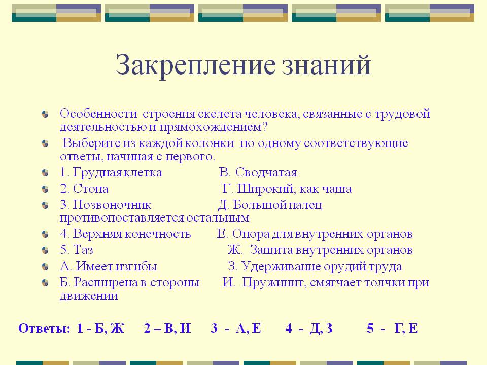 Особенности строения скелета человека