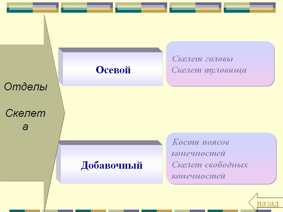 Назад